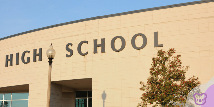 Australian High Schools: What do Agents think?