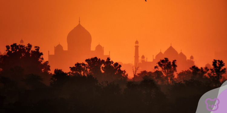 India: not just one-way traffic
