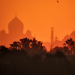 India: not just one-way traffic