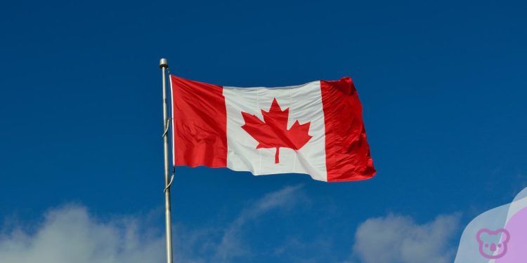 Canada: Forecast International Education Slowdown a Series of Own Goals