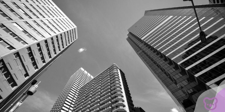 Accommodation Crisis: Business Sydney Backs International Students