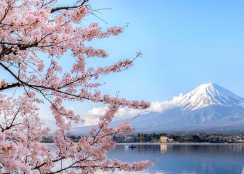 Japan Foundation Grants