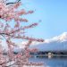 Japan Foundation Grants