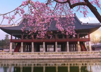 Australia Korea Foundation Grants