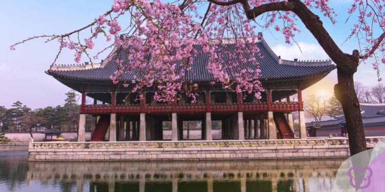 Australia Korea Foundation Grants