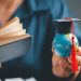 What does the government’s international education crackdown mean for organisations like IDP and NextEd?