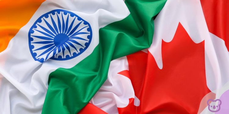 India Resumes Visa Processing in Canada but What Does it Mean for Indian Students Heading the Other Way?
