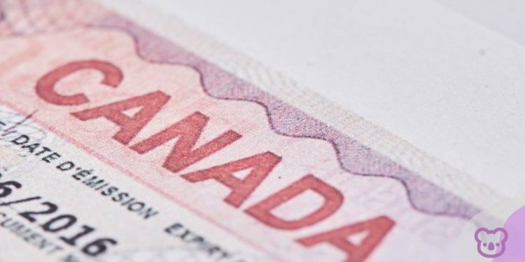 Canadian Study Permits to be Capped