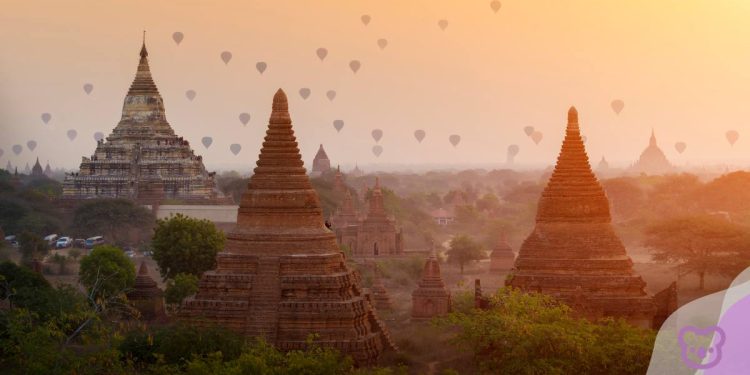 Uplifting the Asia capability of Australian educators in 2024