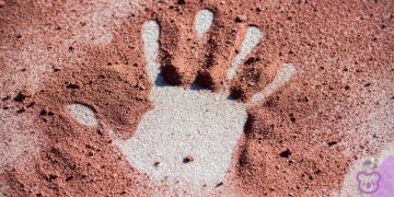 Indigenous public diplomacy and international education