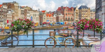 The Netherlands at crossroads on IE Public Policy