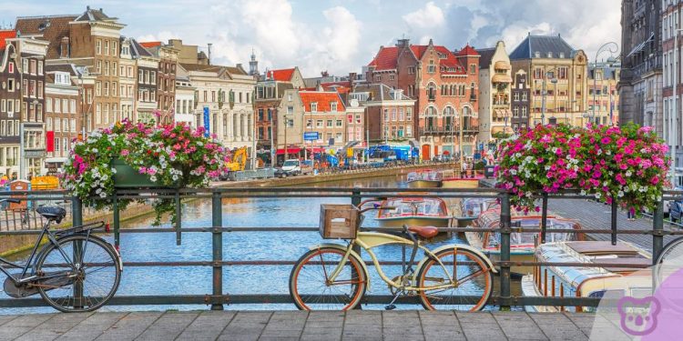 The Netherlands at crossroads on IE Public Policy