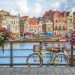 The Netherlands at crossroads on IE Public Policy