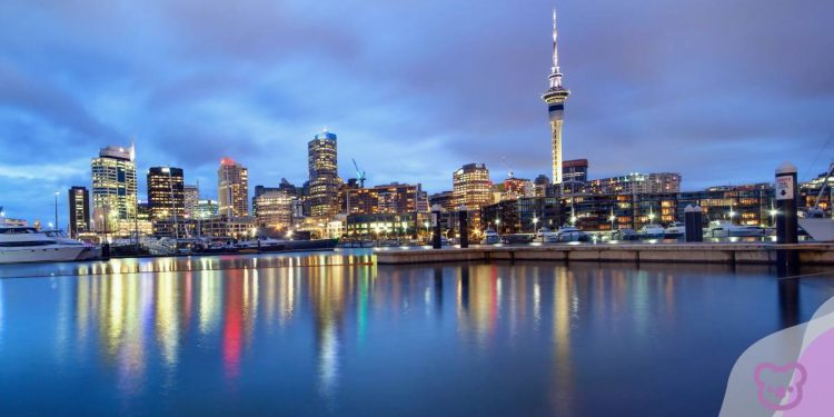 IDP opens support hub in New Zealand