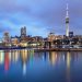 IDP opens support hub in New Zealand