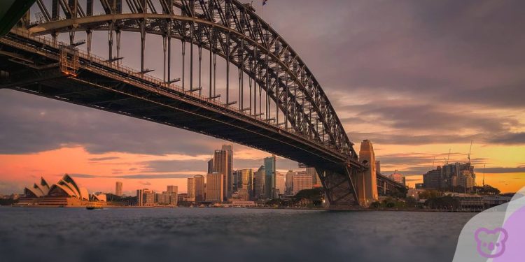 Study NSW Sponsorship Program Now Open