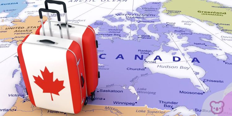 Asylum Claim Spike by International Students in Canada Raises Concerns