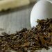 Opinion: When reading the tea leaves just doesn’t make sense