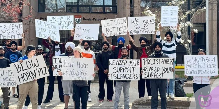 “We Want Transparency and Residency” International Graduate Protests Spread in Canada