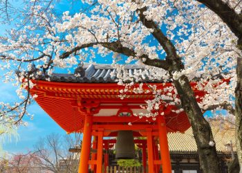 Connecting Australia and Japan: The AIIA Indo-Pacific Cooperation Network