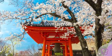 Connecting Australia and Japan: The AIIA Indo-Pacific Cooperation Network