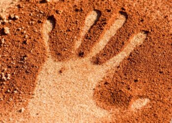 Indigenous Fellowship to uplift Asia-Pacific engagement