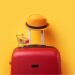 IEAA campaigns on visa fee hike: Learning Abroad is at risk
