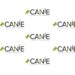 CANIE recognised in QS Sustainability rankings