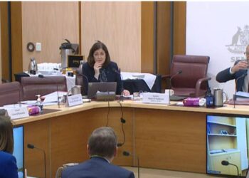 Senate hearing on the ESOS Bill: Here’s what happened