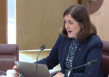 Simon Costain: Top 50 Quotes from the Senate Hearing on the ESOS Amendments
