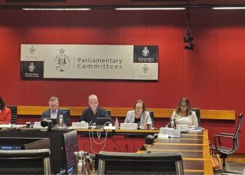 By George! Day 2 of Senate Hearing to the ESOS: How it played out