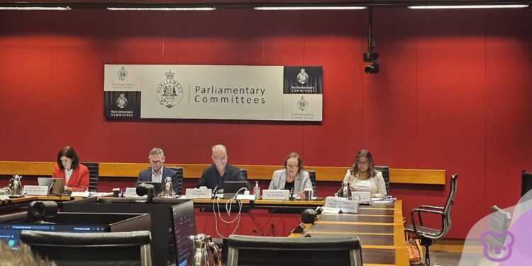 By George! Day 2 of Senate Hearing to the ESOS: How it played out