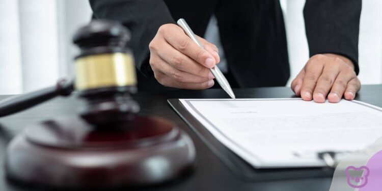 Legal case against proposed reforms gathers momentum