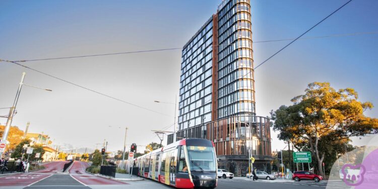 Scape announces Kingsford Student Accommodation opening