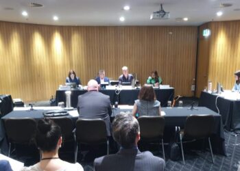 3rd Senate Hearing Day: How it went down