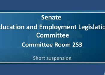 Fiery Senate Clash: political point-scoring overshadows international student concerns