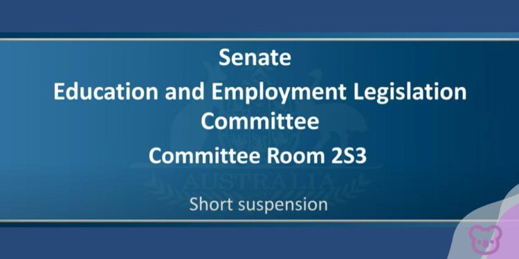 Fiery Senate Clash: political point-scoring overshadows international student concerns