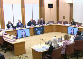 Fourth Senate Committee Hearing: A Wrap of Proceedings
