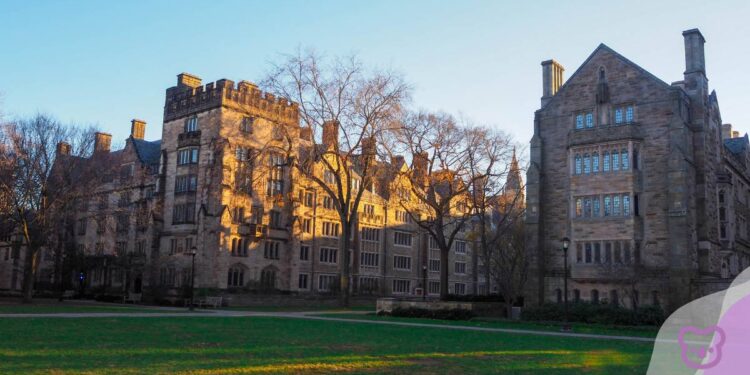 Yale invites applications for the Maurice R. Greenberg World Fellows Program