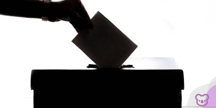 Peak bodies and the 2025 Federal election