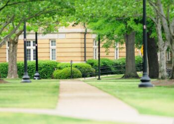 Bringing Politics into the Picture: Will Political Agendas Prevail Over Economic Realities?