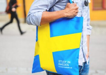 Sweden’s Higher Education: A Model of Freedom and Responsibility