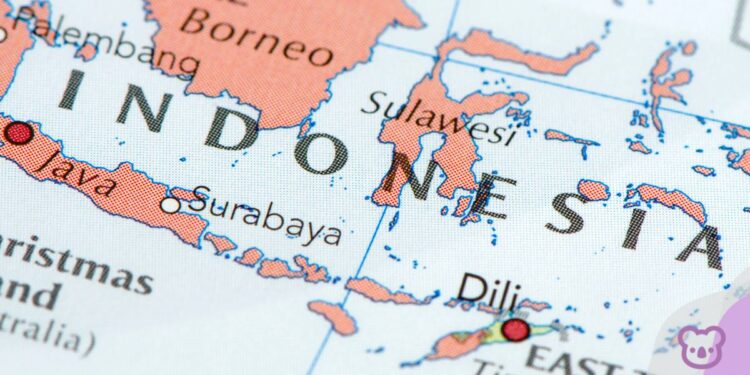 University Move to Scrap Indonesian Raises Strategic Questions