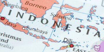 Building Indonesia literacy through a new roadmap