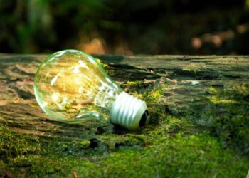 Building a Sustainable Future through Engineering