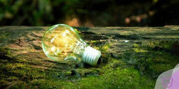 Building a Sustainable Future through Engineering