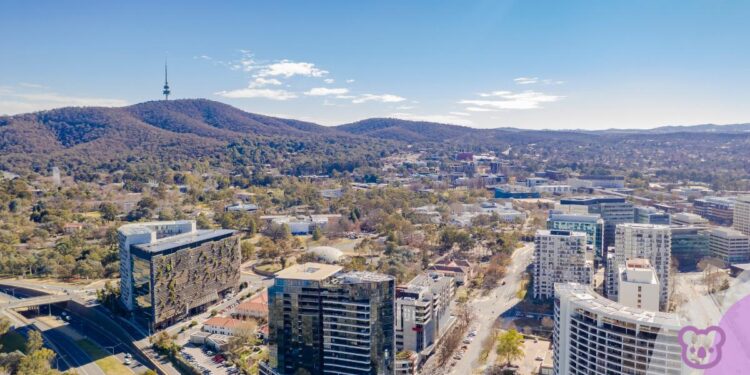 ANU Roadmap focus on future student revenue