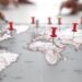 The TNE Race: how Australia’s universities are shaping a future-ready global workforce
