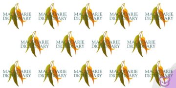 AI ‘Slop’ Takes Out Macquarie Dictionary’s 2025 Word of the Year