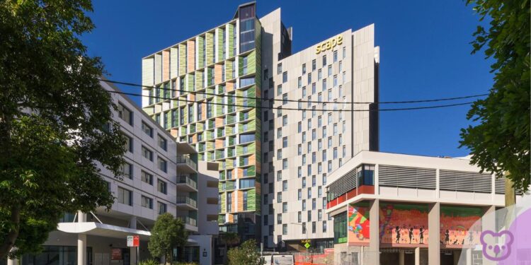 Australia Launches Largest-Ever Electrification Program for Student Housing